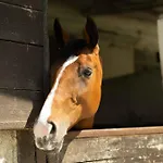 Couette-café Ranch B & 3*
