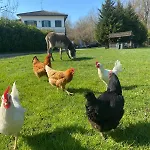 Ranch B & 3*