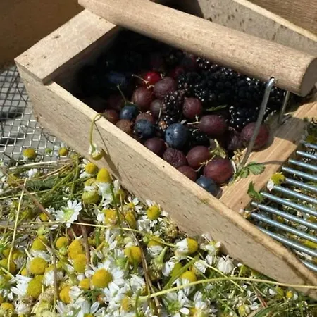 Ranch B & Bed & Breakfast 3*