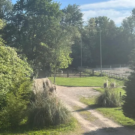 Oda ve Kahvaltı Ranch B & Nibionno