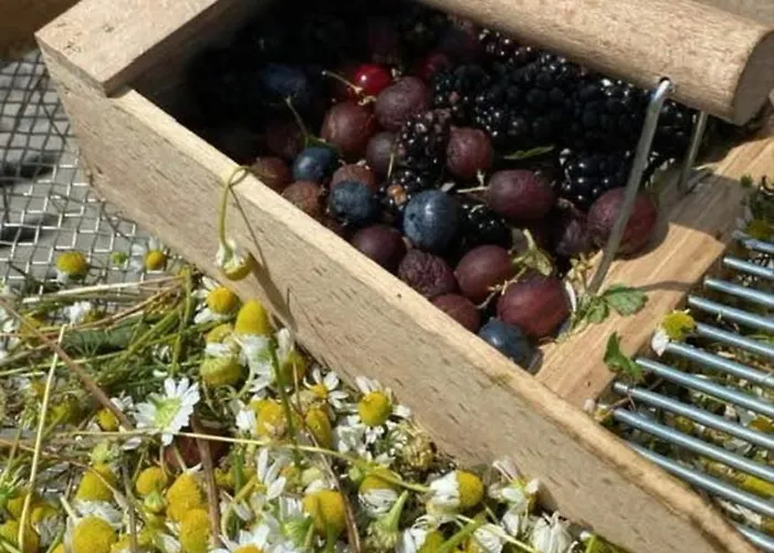 Ranch B & ベッド・アンド・ブレックファスト 3*