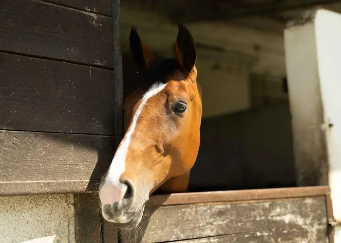 ベッド・アンド・ブレックファスト Ranch B & 3*