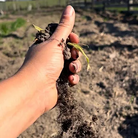 Ranch B & 3* Nibionno