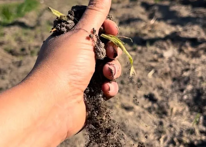 Ranch B & 3* Nibionno