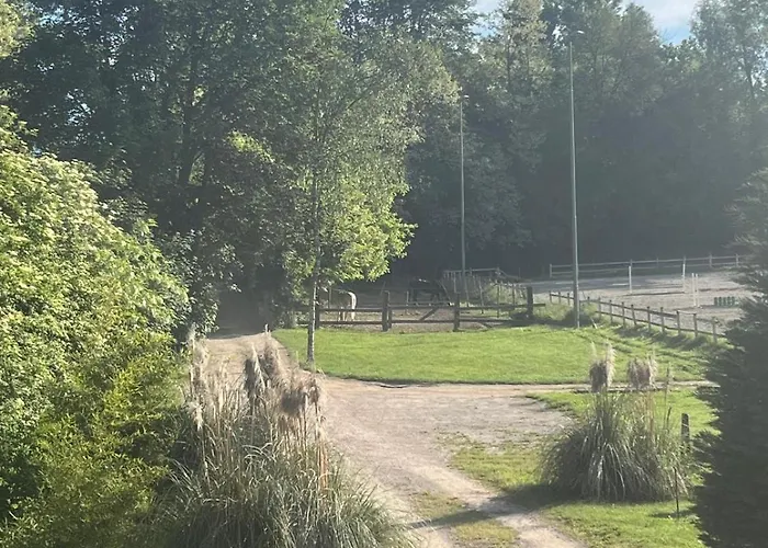 Panzió Ranch B & Nibionno